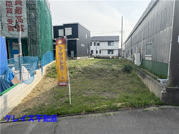 5589画像