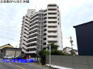 LsLsPk ݼ 1480~
